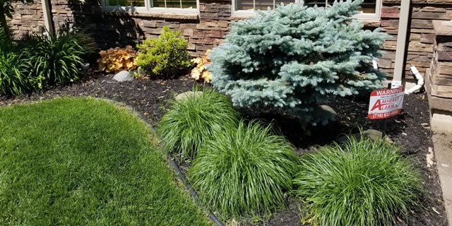 Expert Landscaping