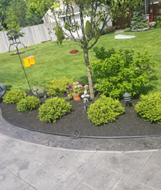 Landscaping Testimonials