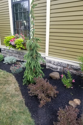 Landscaping Testimonials