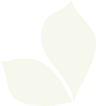Landscaping Company