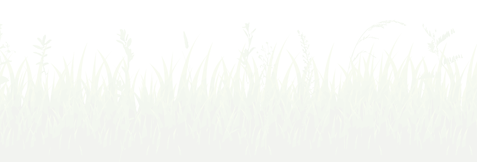 Landscaping Testimonials