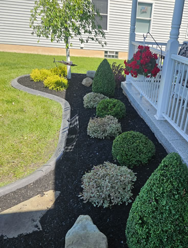 Forever Green Landscapes Design