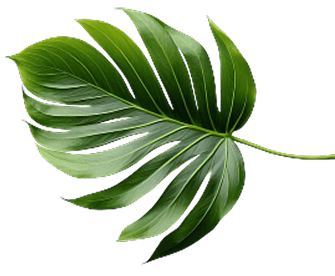About Forever Green Landscapes and Designs